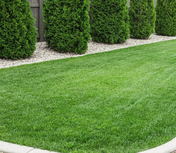 How to Mow Your Lawn Like a Professional?