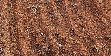 BILT HARD wood chipper mulch covering garden soil