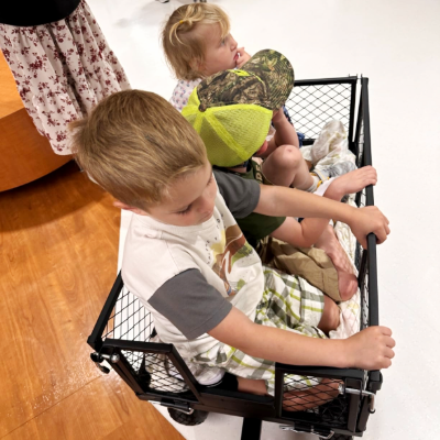 BILT HARD Folding Utility Wagon