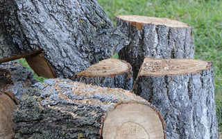 40 Ton Full-Beam Log Splitter: Is It Right for Your Firewood Needs?