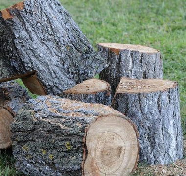 40 Ton Full-Beam Log Splitter: Is It Right for Your Firewood Needs?