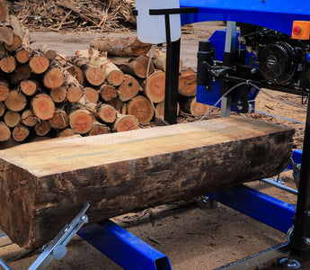 From Forest to Furniture—The Power of Portable Sawmilling